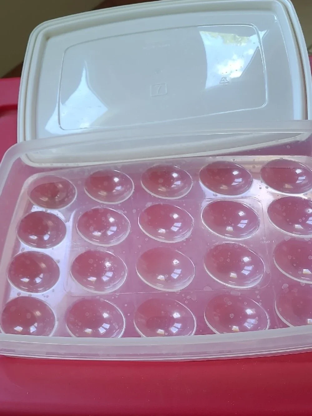 Rubbermaid Servin Saver Deviled Egg Container